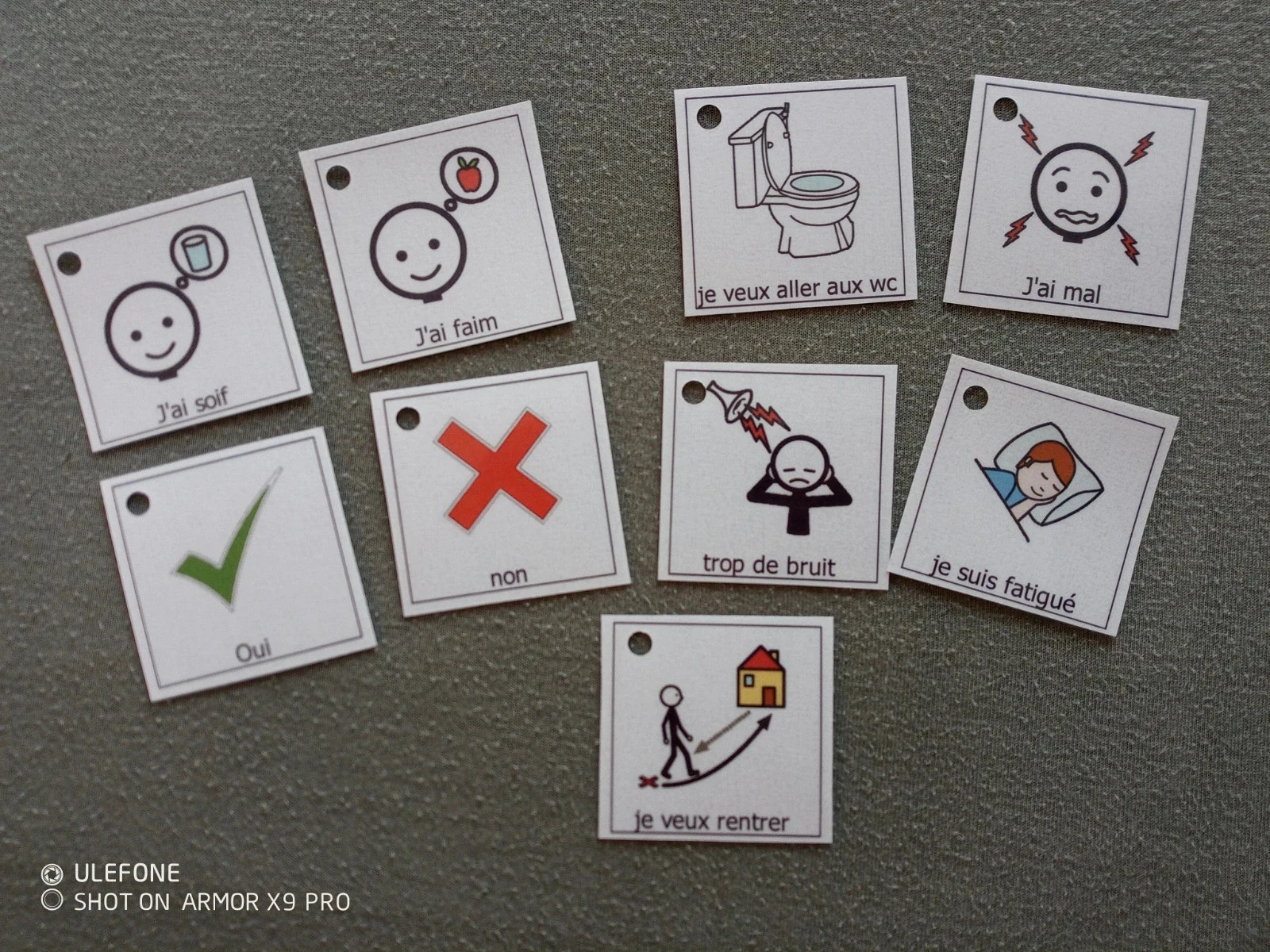 anneau e pictos – photo 2